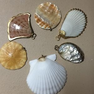 Seashell Charms